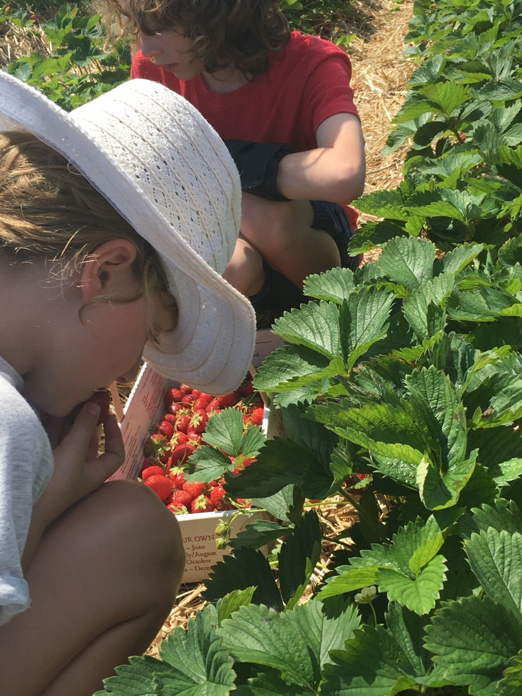 Sun Rises at&nbsp;Dawn